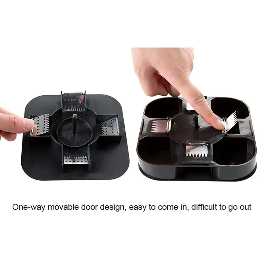 Cockroach Trap Box