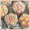 Cake Decor Piping Tips & Create Unique Cupcake Decorating
