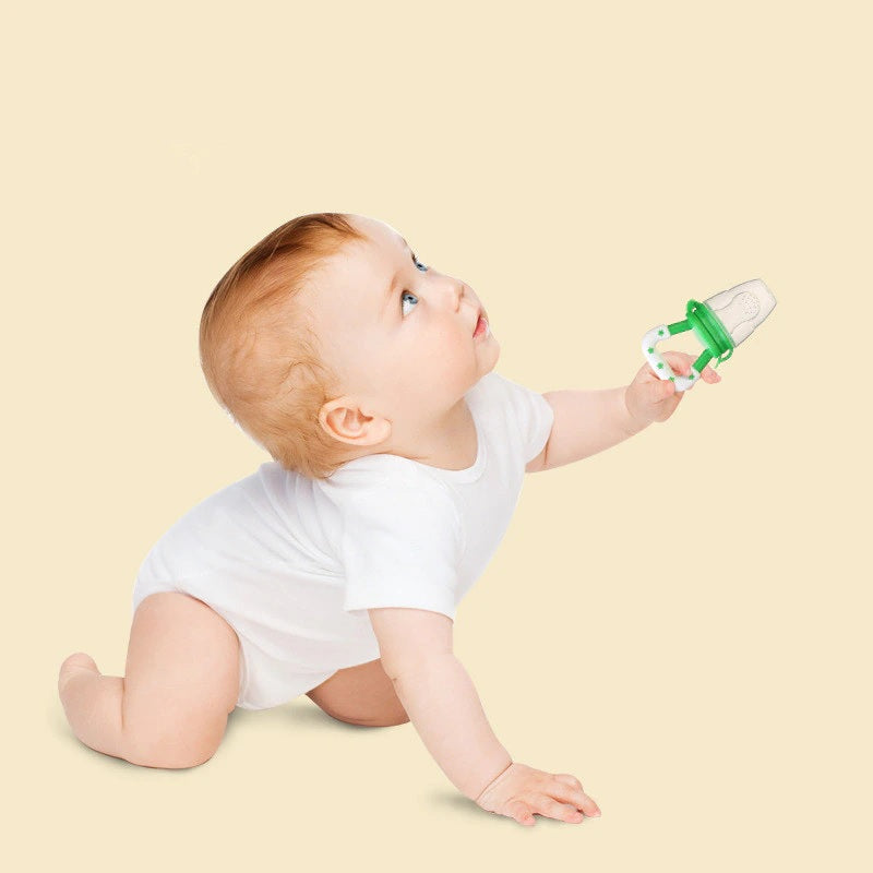 Baby Fruit Feeder Pacifier