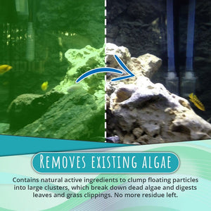 đ„Hot Salesđ„Algae Repellent Agent