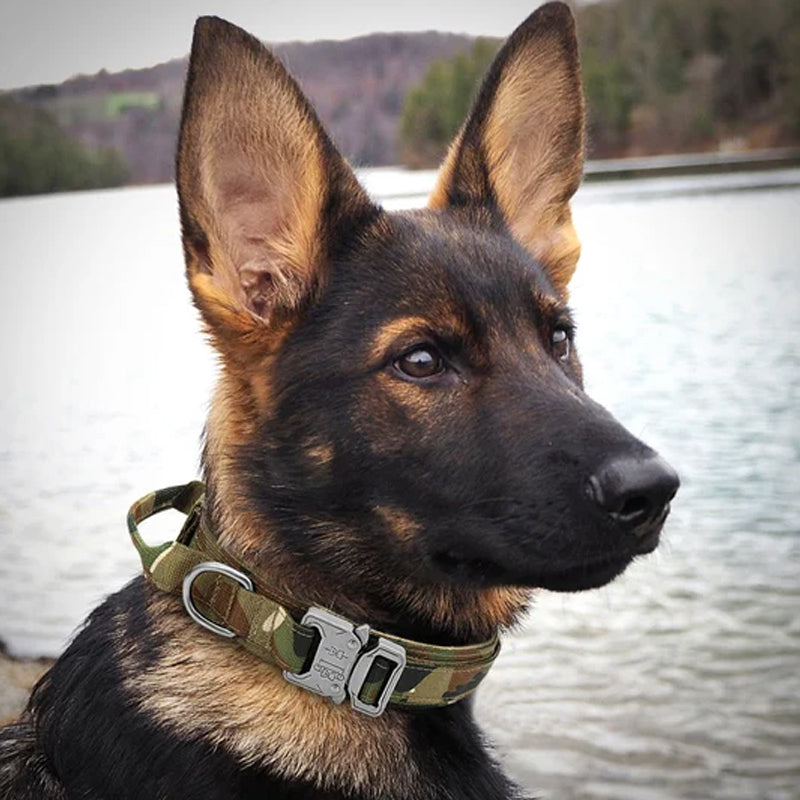 Tactical Dog Collar With Handle