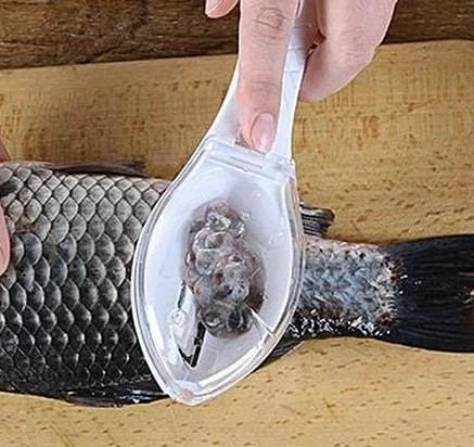 SCRAPING FISHING SCALE BRUSH