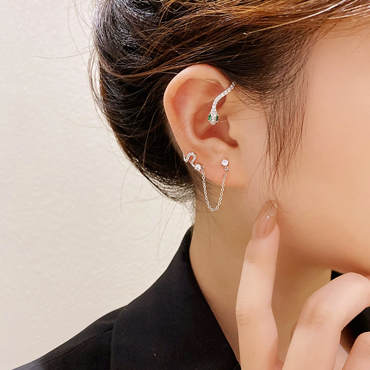 Novel Snake-Shape Earrings