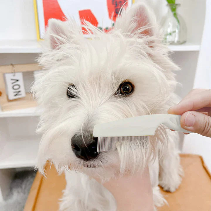 Multifunctional Pet Hair Comb Flea and Tear Stain Removal🐶🐱