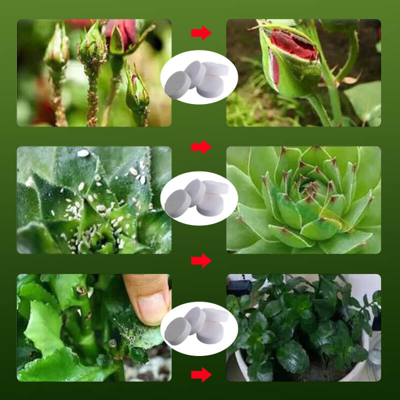 Plant Flower Insect Repellent Tablet