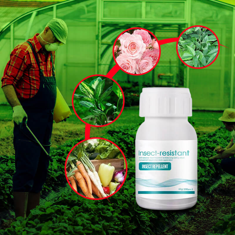 Plant Flower Insect Repellent Tablet