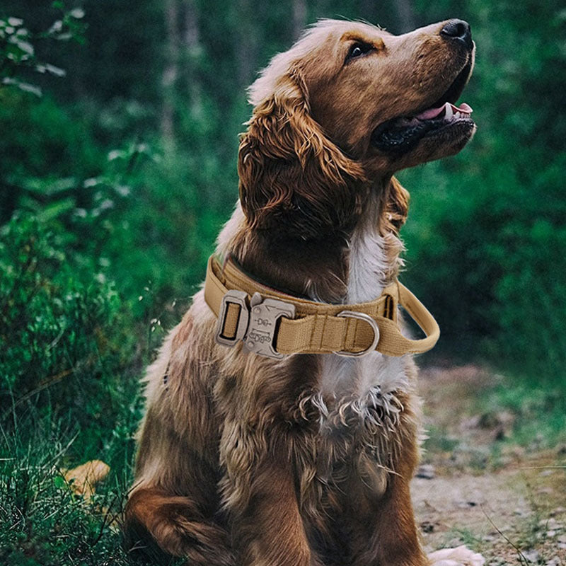 Tactical Dog Collar With Handle