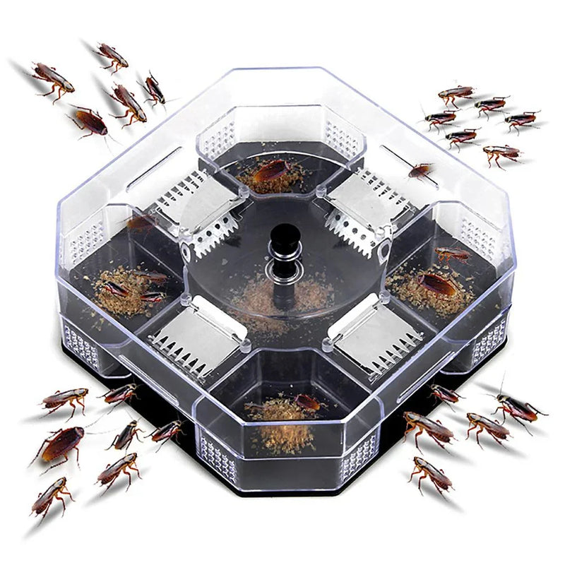 Cockroach Trap Box – boutipa