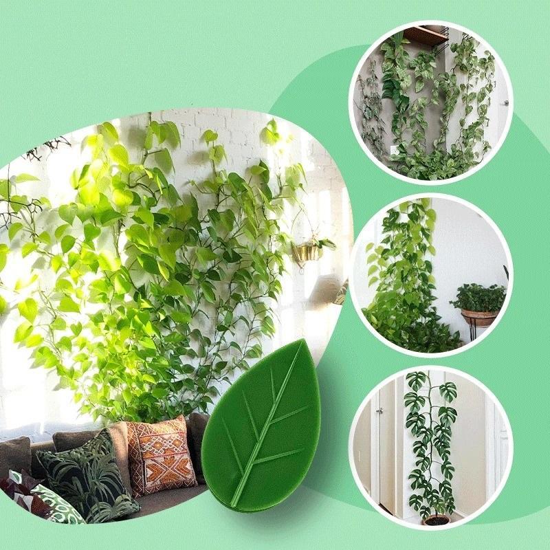 PLANT CLIMBING WALL FIXTURE CLIPS