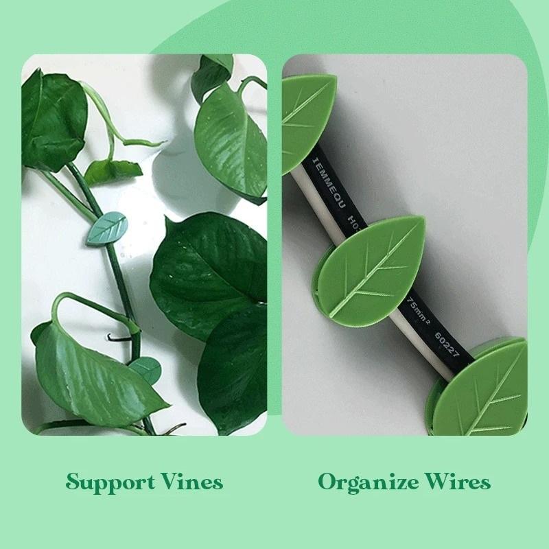 PLANT CLIMBING WALL FIXTURE CLIPS